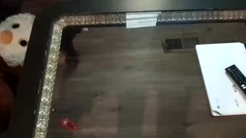 LjCherry online show from November 1, 2025, 7:21 am