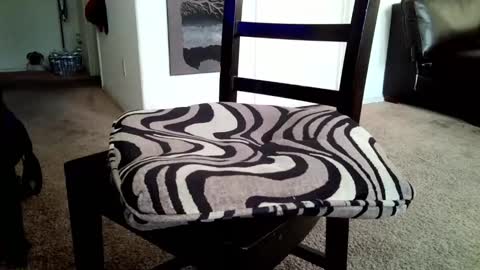 Snapshot of llcooljake69 chatting on March 16, 2026, 2:21 pm LL Cool Jake online show from March 16, 2026, 2:21 pm