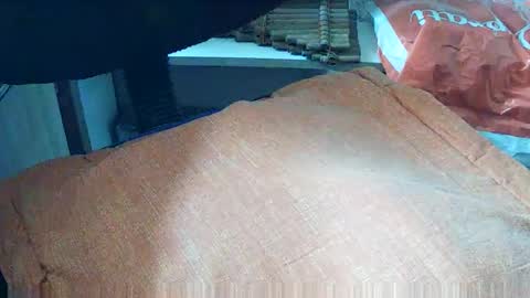 loboxavi online show from September 19, 2025, 1:23 pm