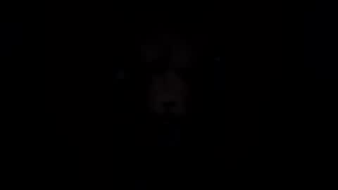 lokatmydick online show from July 13, 2026, 10:07 am