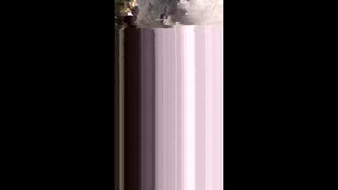 lola_costa2 online show from June 8, 2026, 4:13 am