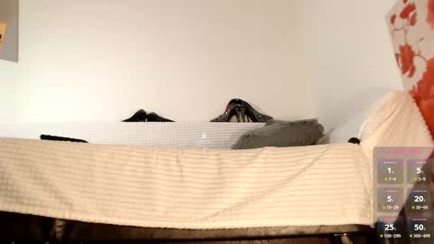 Miss Lolla online show from October 27, 2025, 6:50 am