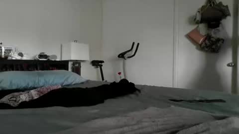 LondonMariexxx online show from November 16, 2025, 8:47 pm