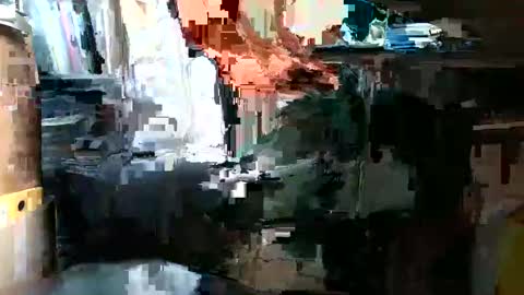 Pumabreizh online show from February 2, 2025, 1:08 pm