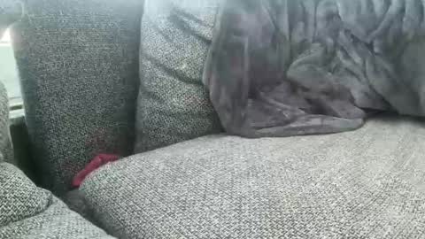 Snapshot of longjohnson94435702 chatting on March 2, 2025, 7:54 am longjohnson94435702 online show from March 2, 2025, 7:54 am