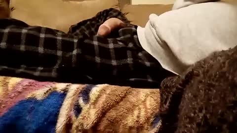 looking4bush online show from December 3, 2024, 7:21 am