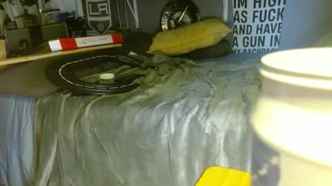 lookwhaticand0 online show from February 3, 2025, 6:49 pm