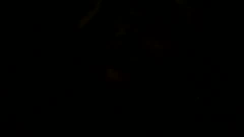 loose565 online show from February 23, 2026, 6:49 pm