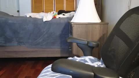 Snapshot of lovelace390 chatting on November 3, 2025, 3:19 am Amber online show from November 3, 2025, 3:19 am