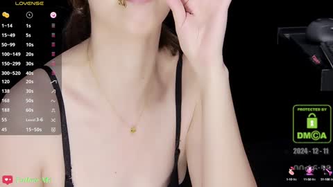 Snapshot of lovely_asahi chatting on December 10, 2024, 4:17 pm lovely asahi online show from December 10, 2024, 4:17 pm