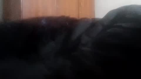 Snapshot of lovely_sweet_girl chatting on January 1, 2025, 4:07 am katrina follow me guys online show from January 1, 2025, 4:07 am