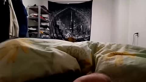 Lovetlick online show from December 23, 2024, 5:28 am