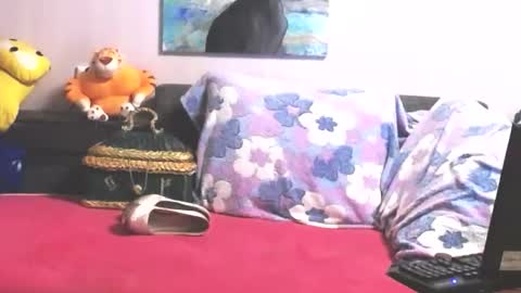 Anna online show from October 31, 2025, 10:33 pm