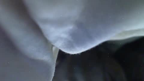 Milk Me online show from May 27, 2026, 9:12 pm