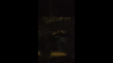 lspd359 online show from April 13, 2026, 1:22 am