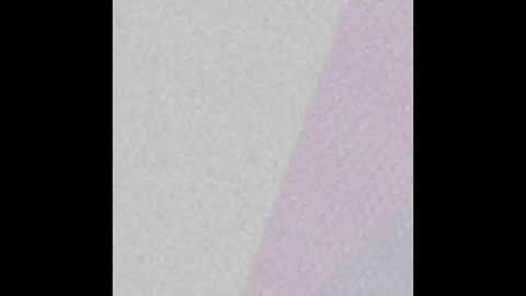 lthbthsi online show from February 19, 2025, 12:55 pm