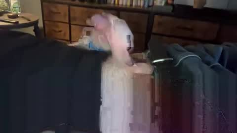 lubthemtitties online show from December 22, 2024, 8:49 am