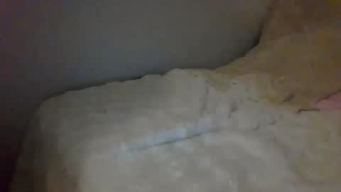 Snapshot of lucany__ chatting on December 26, 2024, 8:21 pm Luca online show from December 26, 2024, 8:21 pm