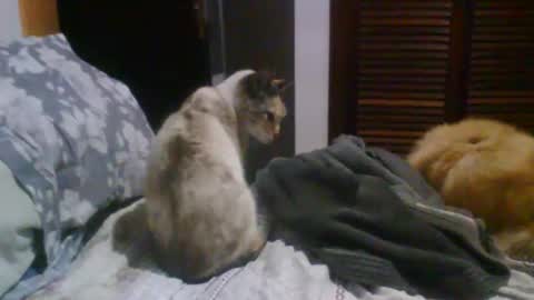 Snapshot of lucasgody chatting on October 19, 2025, 9:37 pm lucas online show from October 19, 2025, 9:37 pm