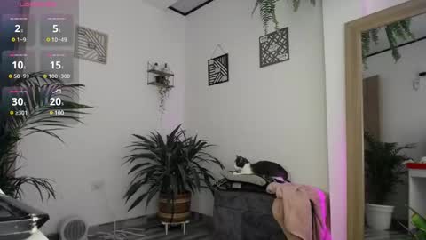 luciiana online show from February 25, 2025, 3:05 pm