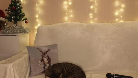 Katerina  online show from December 25, 2024, 6:52 pm