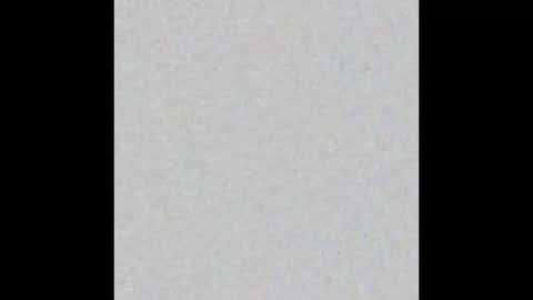 Alisa online show from November 8, 2025, 9:20 am