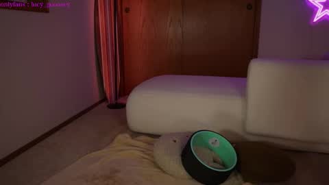 Lucy. online show from February 3, 2025, 4:57 am