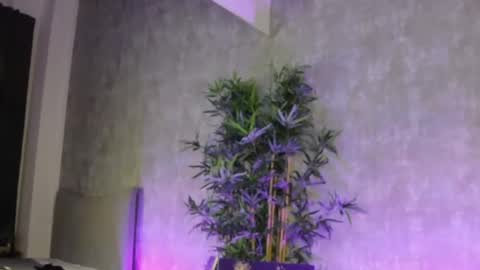 Snapshot of lucyrayy chatting on February 4, 2026, 10:58 pm lucyrayy online show from February 4, 2026, 10:58 pm