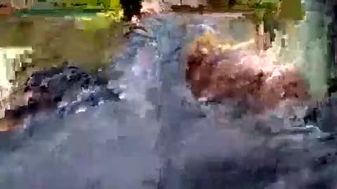 Andrew online show from October 22, 2025, 10:59 am