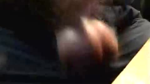 lukestarfckr online show from October 17, 2025, 4:53 pm