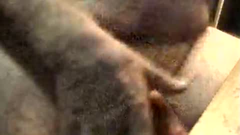 lukestarfckr online show from November 10, 2025, 9:19 am