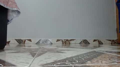 Luna--Blueberry online show from December 14, 2025, 4:40 am