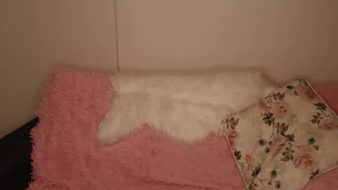 Snapshot of luna_moon77 chatting on December 20, 2025, 2:35 pm Luna online show from December 20, 2025, 2:35 pm