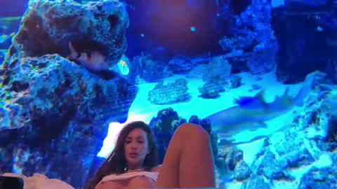 LunaBex online show from February 18, 2026, 9:22 pm