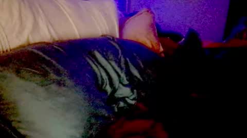 Luna Daddys Girl online show from November 25, 2025, 9:20 am