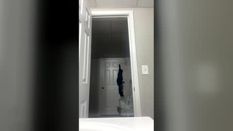 lunamoth00 online show from December 15, 2025, 12:04 am