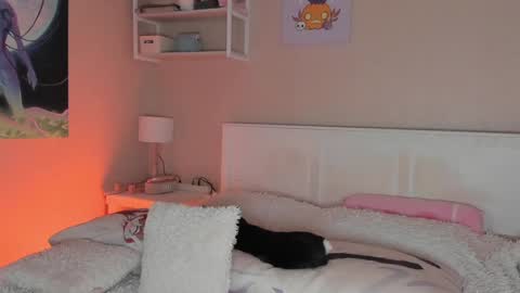 Sofia online show from December 24, 2024, 8:11 am