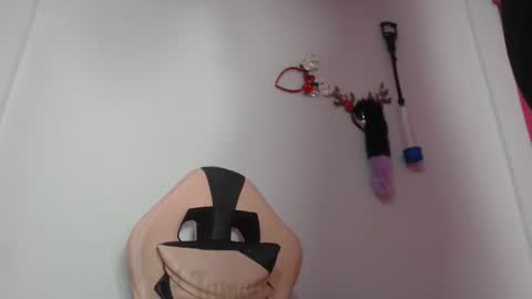 Snapshot of lunitaqueen_ chatting on December 15, 2024, 6:40 am Luna Tamara online show from December 15, 2024, 6:40 am