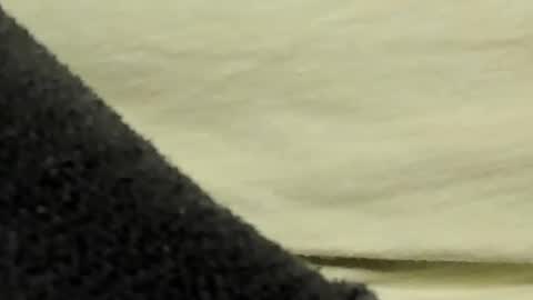 Snapshot of lustgardener67 chatting on January 27, 2025, 7:35 pm lustgardener67 online show from January 27, 2025, 7:35 pm