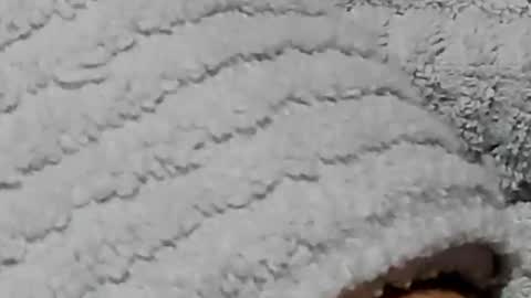 Snapshot of lustgardener67 chatting on February 3, 2025, 7:21 pm lustgardener67 online show from February 3, 2025, 7:21 pm