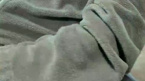 Snapshot of lustgardener67 chatting on October 7, 2025, 7:11 pm lustgardener67 online show from October 7, 2025, 7:11 pm