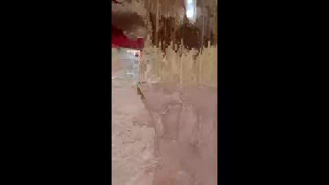 lustinaxxx online show from December 14, 2025, 10:25 pm