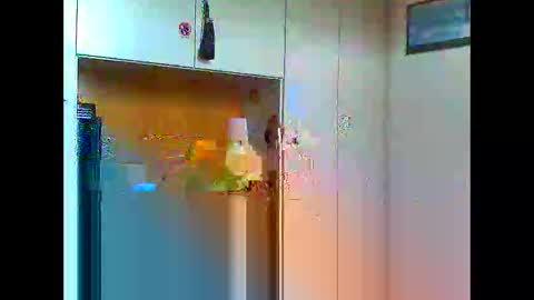 luxx72boy online show from January 11, 2025, 9:47 am