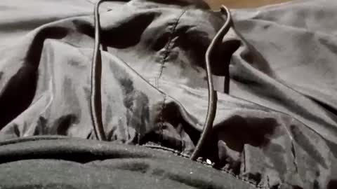 Lvac11 online show from September 26, 2025, 11:25 am