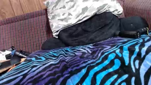 Snapshot of lyke2fuck chatting on February 6, 2025, 11:32 am Lyke2fuck online show from February 6, 2025, 11:32 am