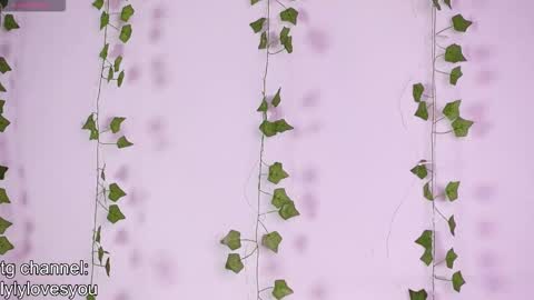 Lyly   online show from November 18, 2025, 5:34 am