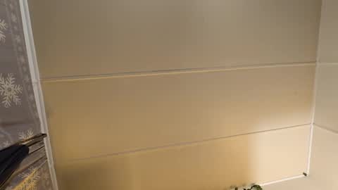 MARCUSNYX online show from November 21, 2025, 7:56 pm