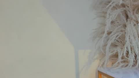 Snapshot of mabel_mjs chatting on January 16, 2025, 3:13 pm Mabel online show from January 16, 2025, 3:13 pm