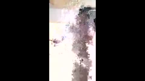 Snapshot of maciasbraulio846 chatting on February 3, 2026, 6:00 am maciasbraulio846 online show from February 3, 2026, 6:00 am