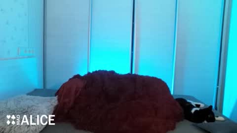 Alice online show from November 2, 2025, 5:37 pm